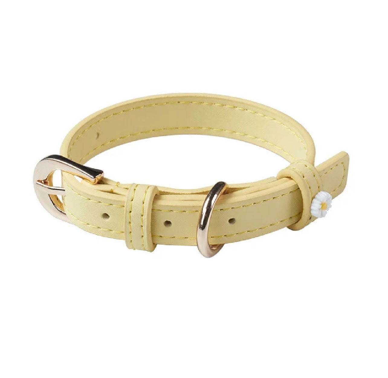 CAT & DOG COLLAR