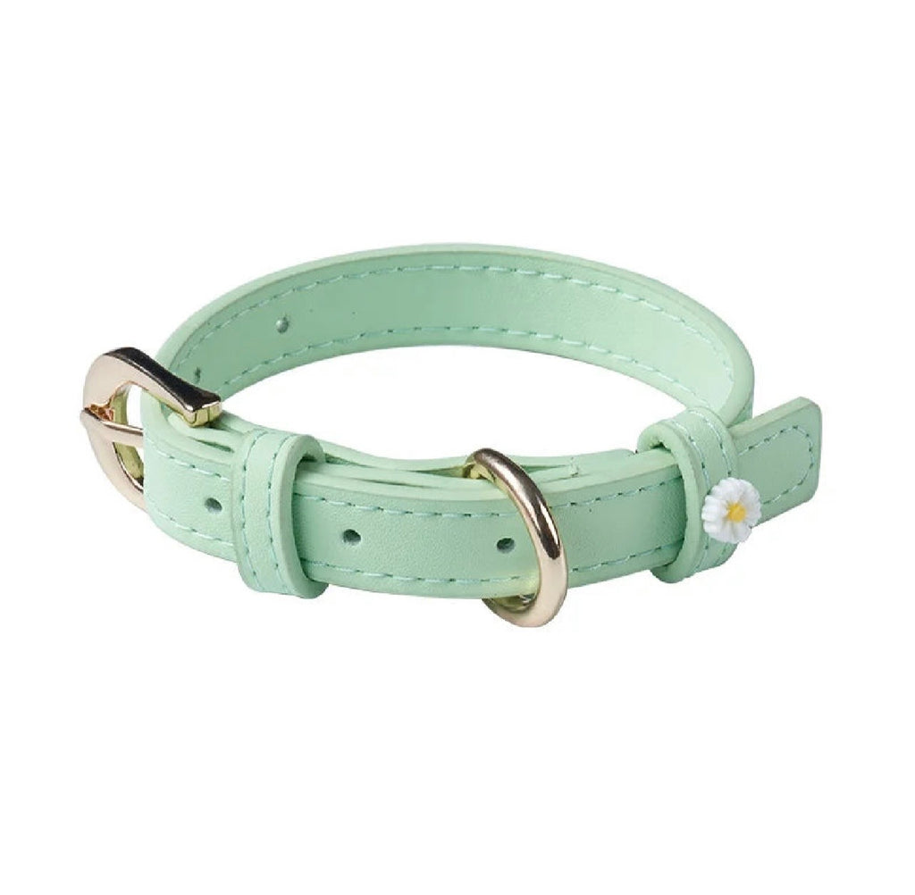 CAT & DOG COLLAR