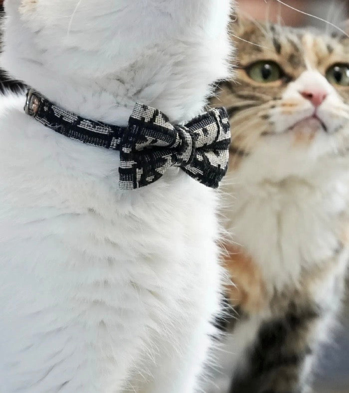 ELEGANT COLLAR & LEASH