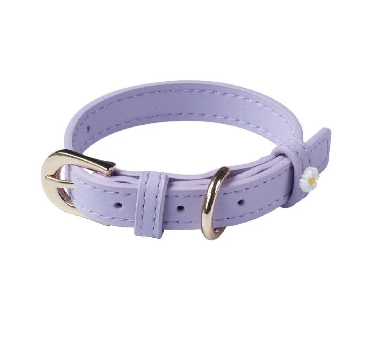 CAT & DOG COLLAR