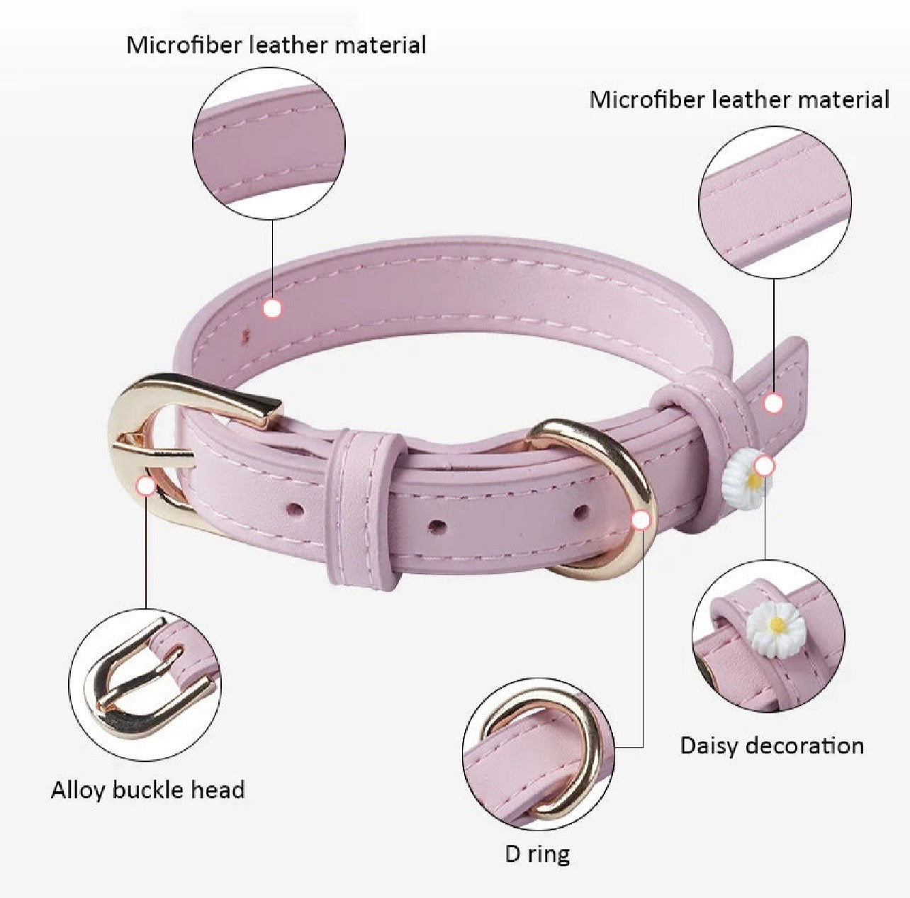 CAT & DOG COLLAR