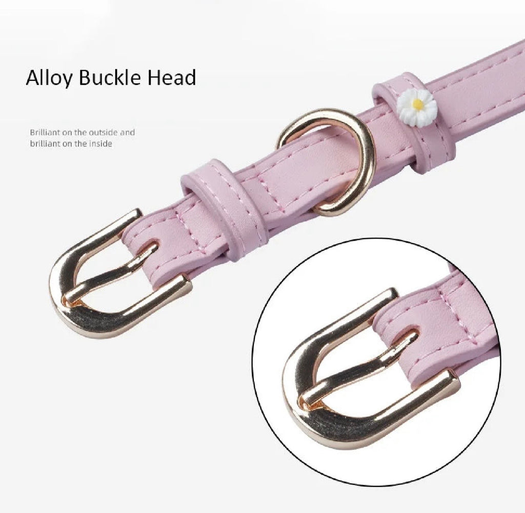 CAT & DOG COLLAR