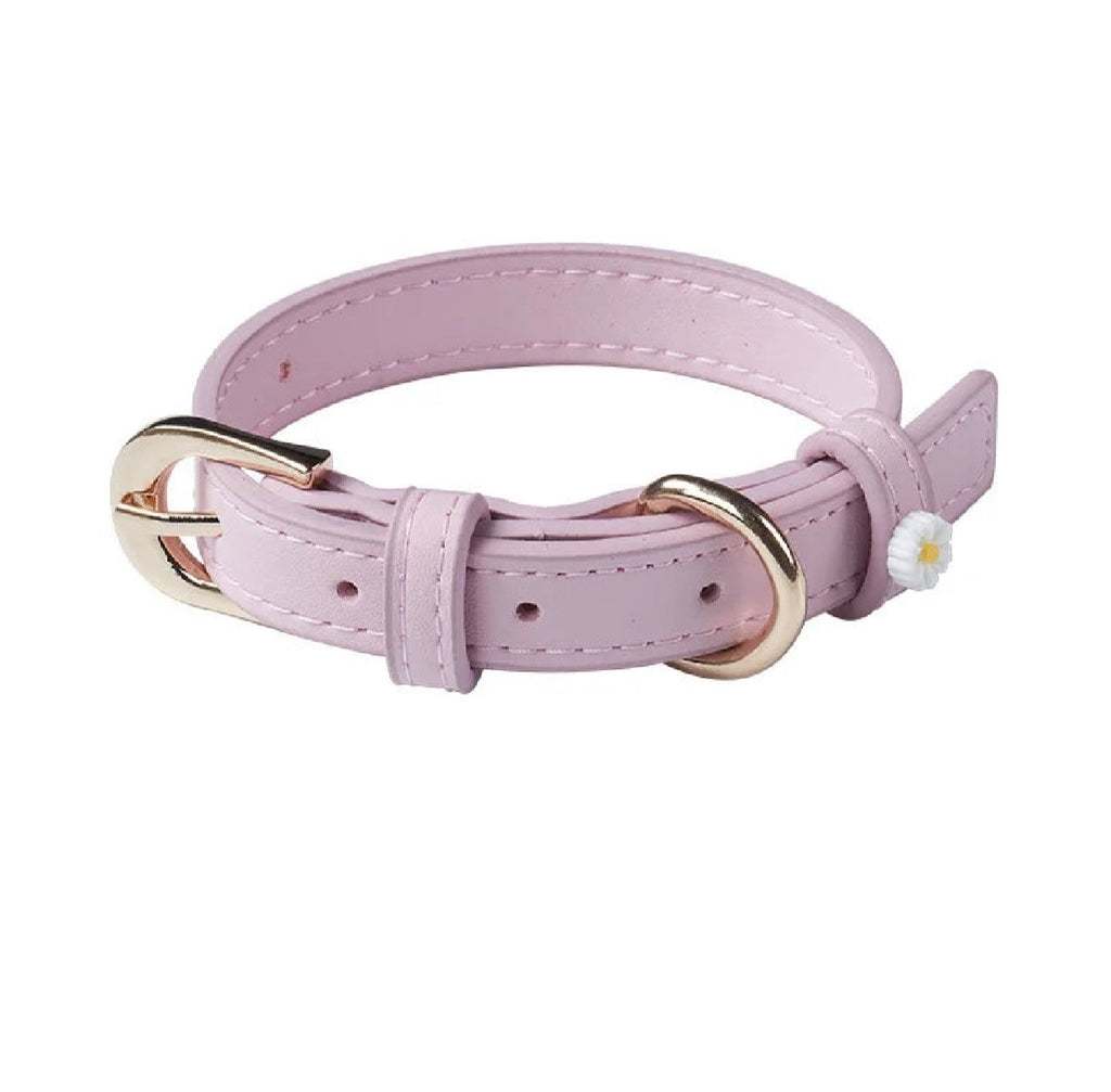 CAT & DOG COLLAR