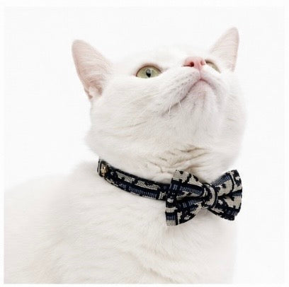ELEGANT COLLAR & LEASH