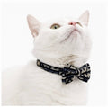 ELEGANT COLLAR & LEASH