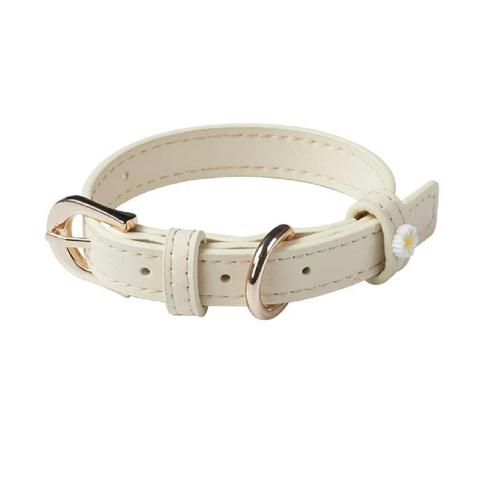 CAT & DOG COLLAR