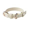 CAT & DOG COLLAR