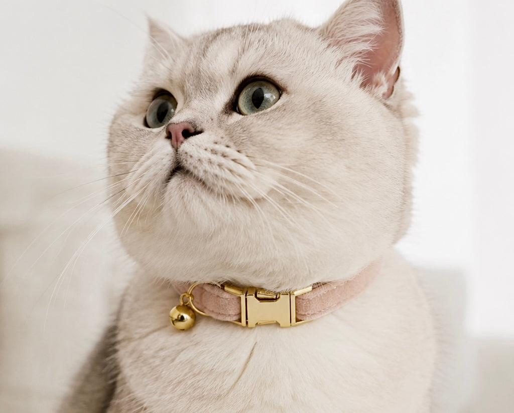 SOFT VELVET COLLAR