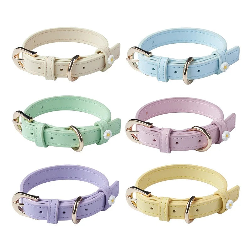 CAT & DOG COLLAR